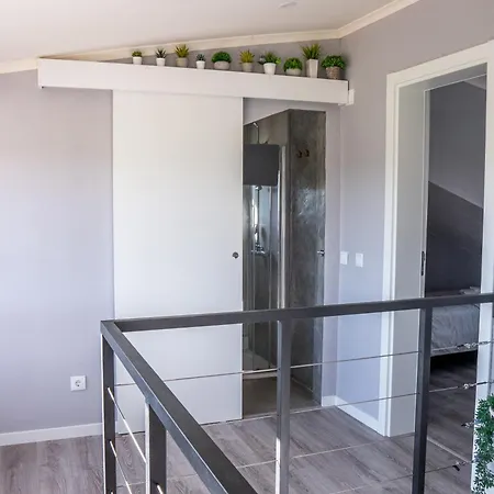 בית הארחה Palmeiras House - סנטה קרוז